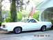 1979 Ford Ranchero