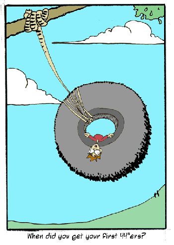 Tire swing hanging from a tree branch over water with clouds in the sky