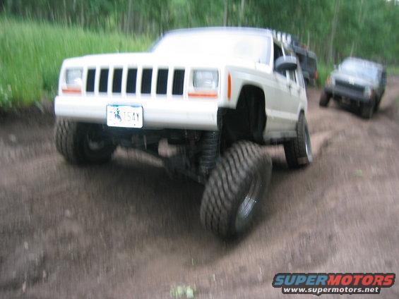 flex.jpg 