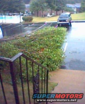 This is what I saw when I left the apartment the morning Hurricane Dennis came through Nashville. You can see the bronco, but you CAN'T see my Saturn, because there's a tree on top of it