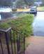 1987 Ford Bronco - This is what I saw when I left the apartment the morning Hurricane Dennis came through Nashville. You can see the bronco, but you CAN'T see…