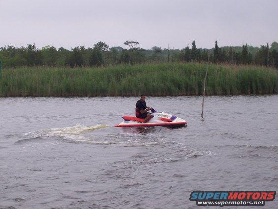 Person riding a red and white jet ski on a body of water with reeds in the background