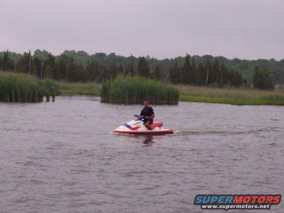 Man riding a jet ski on a lake with reeds and trees in the background