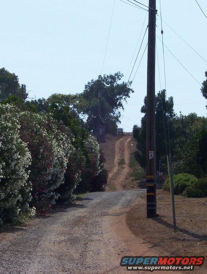 Dirt road winding uphill past flowering bushes and a utility pole under a clear sky