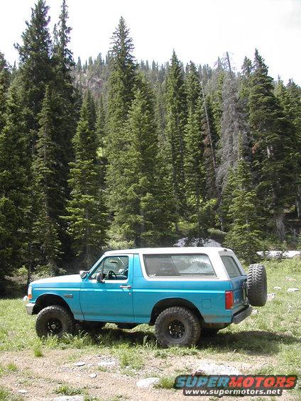 1994 Ford Bronco parked in a grassy, wooded area with tall pine trees