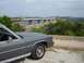 DSC01037.jpg
