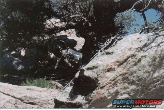 armplaqueframed.jpg look closely in the center of photo...from the trail it is nicely framed by trees, but still somewhat hidden to vandals.