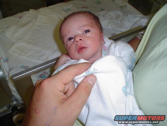 picture-214.jpg lookin ahead!