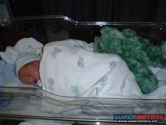 picture-230.jpg His stuffed animal we picked up in FL... an aligator!