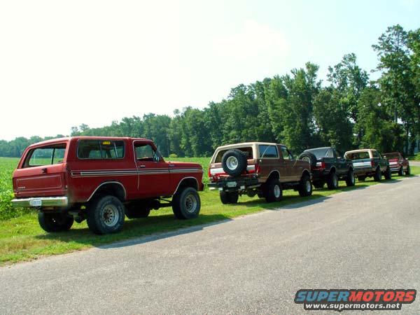 Line of Ford Broncos parked on grass next to a road