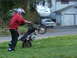 2004 Honda CRF50F - A rider performs a wheelie on a motorcycle in a grassy area next to a road.