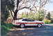 1978 Ford Mustang II - White 1978 Ford Mustang II Cobra with red stripe details and 'COBRA' text on the side.