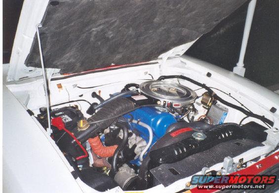 White car's engine bay with blue valve covers and orange hoses