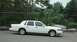 1997 Ford Crown Victoria - A white 1997 Ford Crown Victoria sedan is seen from the side, parked outdoors with trees and a fence in the background.