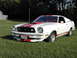 1978 Ford Mustang II - A white 1976 Ford Mustang II Cobra with red racing stripes is parked on a grassy lawn.