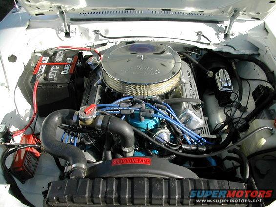 Engine bay with Ford V8 engine, chrome air cleaner, blue spark plug wires, and battery