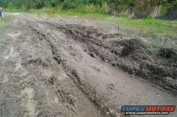 Muddy track with tire ruts, vegetation on sides, trees in background. Person visible in distance