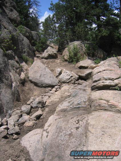 107_0764.jpg 