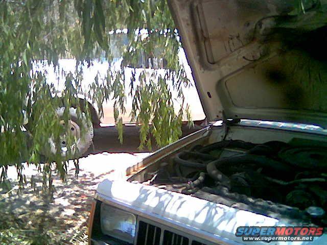 hiddin.jpg tryin to get my bronco some shade
