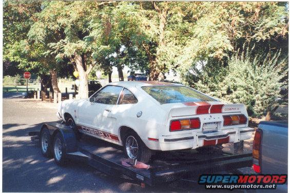 White 1978 Ford Mustang II Cobra II on a trailer, rear view, red stripes on hood and trunk, red stripe along the side