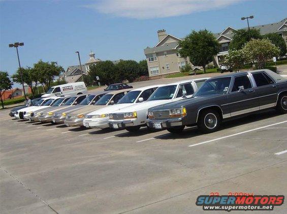 Line of 1988 Ford Crown Victoria LTD sedans parked in a lot with a van