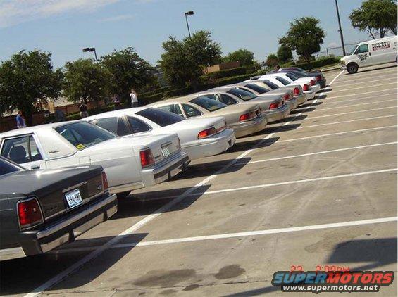 Line of white 1988 Ford Crown Victorias parked side-by-side