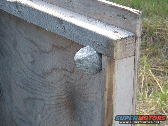 hornet nest