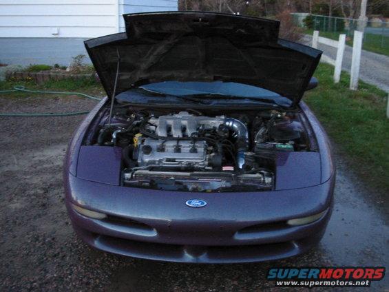 Underhood Shot