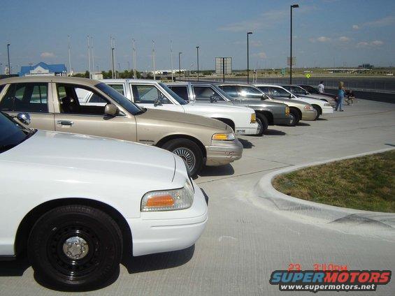Several police sedans parked in a line, front white car in foreground