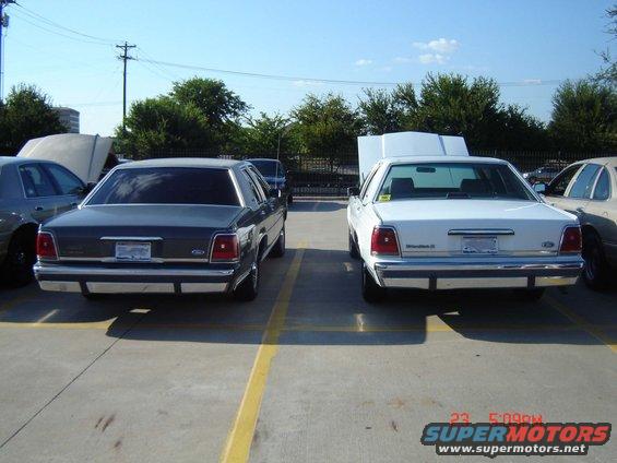 Two 1988 Ford Crown Victoria LTD sedans parked in a lot, one dark gray, one white, both with hoods up