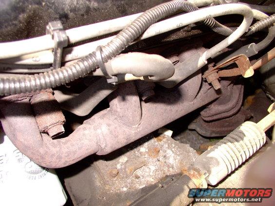 img_0101.jpg Pretty poor lookin' log type headers if you ask me.  The sad thing is most Lincoln pages tell me the Y-pipe will bolt to neither truck 302 shorty headers or Mustang 5.0 litre headers. Guess I'll have to pick one set and get started. They'll need 02 provisions too.