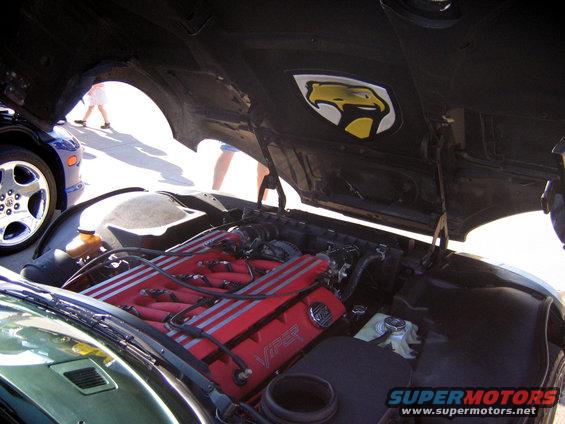 viperunderhood.jpg 