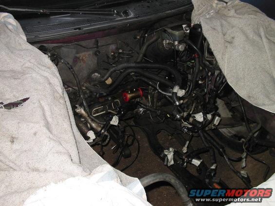 Empty Engine Bay