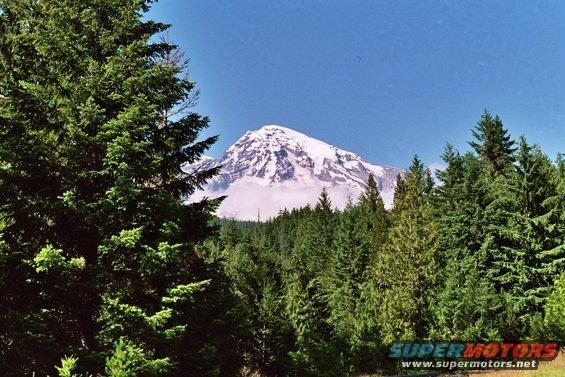 Snow-capped mountain peak behind a dense forest of evergreen trees