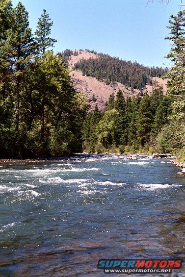 River flowing through a forest with a mountain in the background