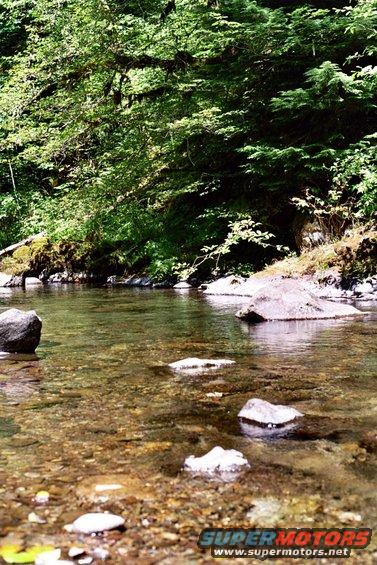 River flowing over rocks with trees on the bank