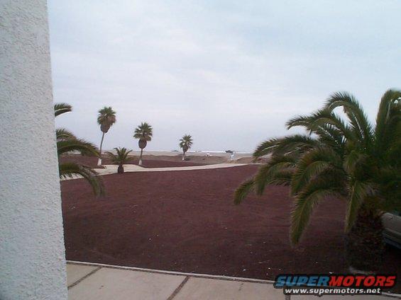 Tropical beach with palm trees and a cloudy sky. A watermark reads 'SUPERMOTORS.NET'