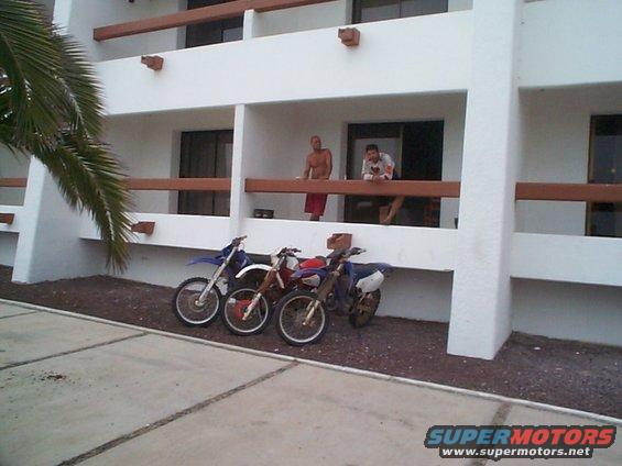 Three dirt bikes parked outside a hotel with a palm tree in the foreground