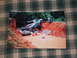 1966 Ford Ranchero - A collapsed road has caused two trucks to fall into a muddy pit, with one person wading in the water.