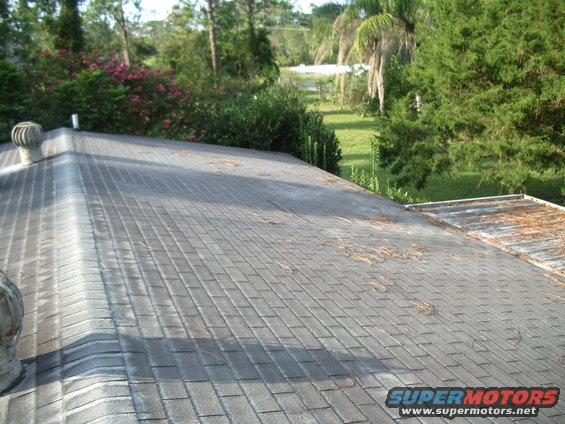 View of a shingled roof with some debris, trees, and a house in the background