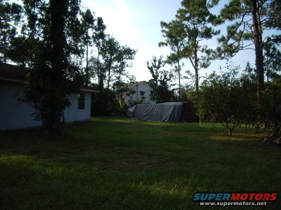 Tarp-covered object in a grassy yard with trees and a house
