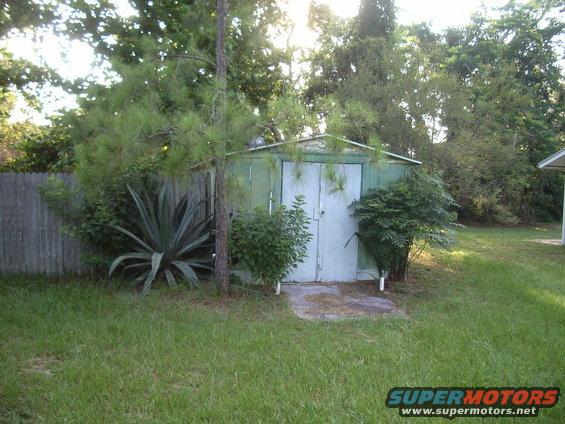 Green shed with double doors, large agave plant, and wooden fence in a backyard