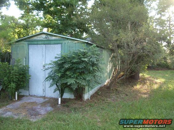 green shed with double doors, overgrown bushes in front, trees in background
