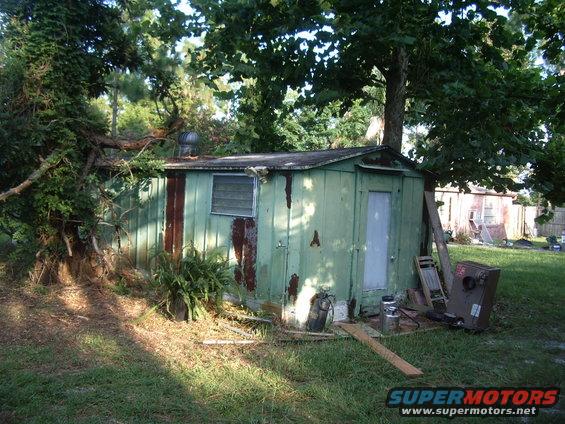 Dilapidated green shed with overgrown plants and trees