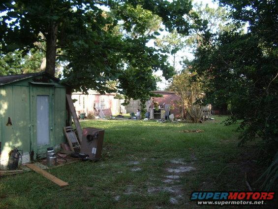 Backyard scene with a green shed, a red shed, trees, and grass
