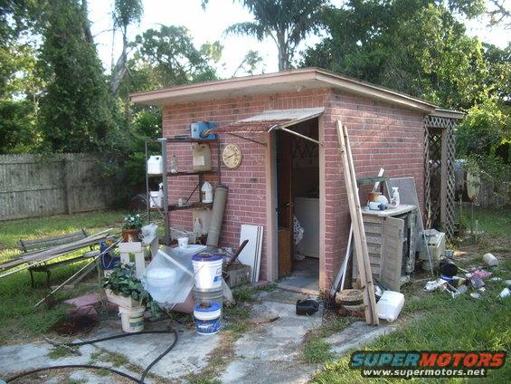 Backyard shed with shelves, buckets, plants, and debris scattered around