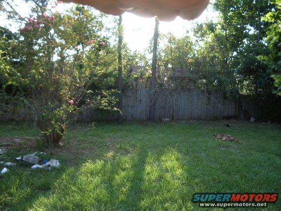 Backyard with grass, trees, and a wooden fence