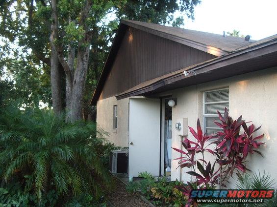 Exterior of a house with an open door, palm trees, and red-leafed plants