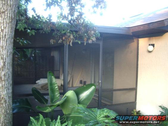 Screened-in porch with large tropical plants in the foreground and a tree trunk on the left