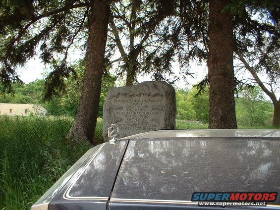 In front of the grave of Traverse Colantha Walker, world's champion....cow.